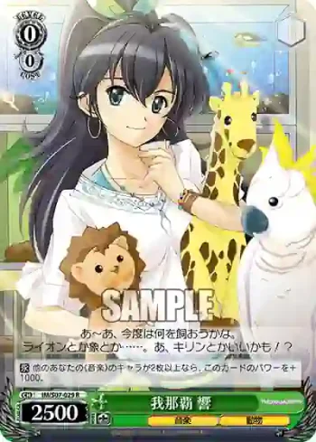 IM/S07-029 R 我那覇 響