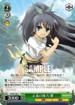 IM/S07-042 C 高木順一朗