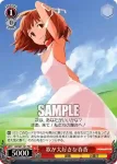 IM/S07-068 C パワフルガール真