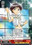 IM/S07-T03 TD りりしく精悍 真