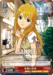 IM/S14-063 C ペット大捜索！ 響