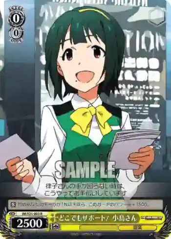 IM/S21-003 R どこでもサポート！ 小鳥さん