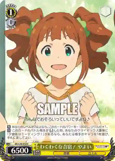 im_s30_018 IM/S30-018 C わくわくな合宿! やよい
