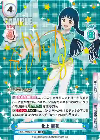 IMM/001B-016S IR 北上 麗花
