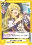 IMM/001T-015 TD 眩しいステージ 美希