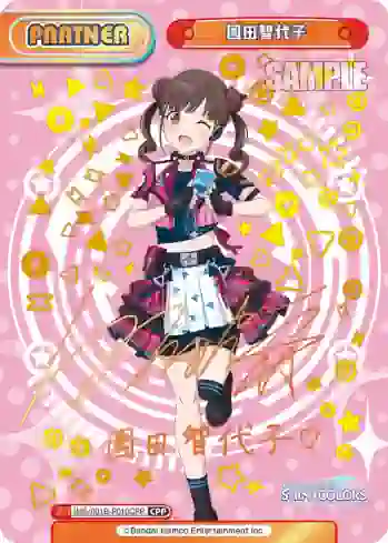 IMS/001B-P010CPP CPP 園田智代子
