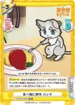 IQ/001B-016S[RZ] SR 食べ物に夢中 パック