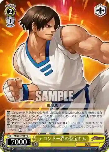 KF/S05-T04 TD テコンドー界の至宝キム