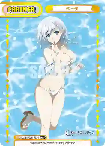 KGJT/002B-P010 NBP ベータ