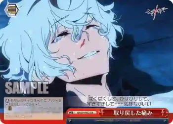 KI/S44-073 CR 取り戻した痛み