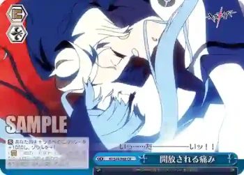KI/S44-098 CR 開放される痛み