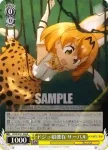 KMN/W51-008 R ドジっ娘健在 サーバル