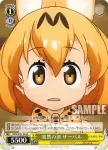 KMN/W51-024 C 突然の涙 サーバル