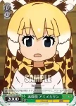 KMN/W51-051 C 嘘か真か タイリクオオカミ