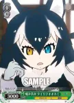 KMN/W51-051 C 嘘か真か タイリクオオカミ