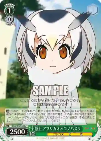KMN/W51-052 C 博士 アフリカオオコノハズク