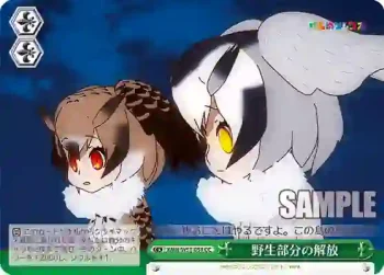 KMN/W51-058 CC 野生部分の解放