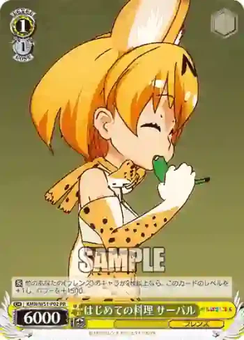 KMN/W51-P02 PR はじめての料理 サーバル