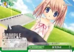 KW/W11-049 CC ロード・トゥ・マイルハイ