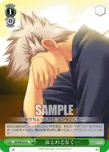 LB/W06-045 U 涙とめどなく…