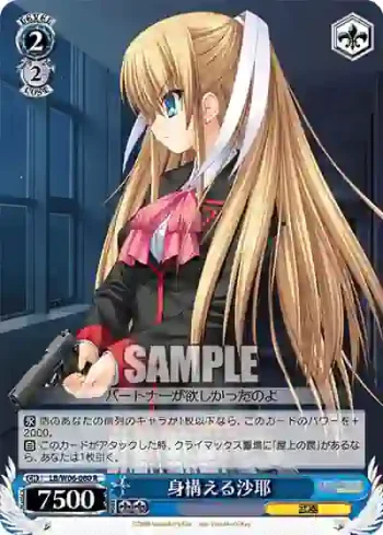 LB/W06-080 R 身構える沙耶