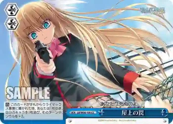 LB/W06-100 CC 屋上の罠
