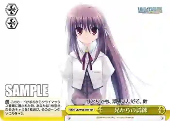 LB/W06-T07 TD 兄からの試練