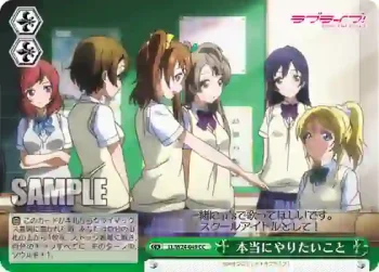 LL/W24-049 CC 本当にやりたいこと