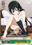 LL/W24-P06 PR メイド服の海未