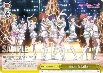 LL/W28-037 CC Snow halation