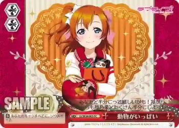LL/W36-065 CC 動物がいっぱい