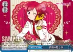 LL/W36-100 CC 真姫の隠し事