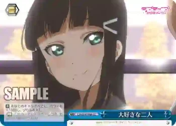 LSS/W45-098 CC 大好きな二人