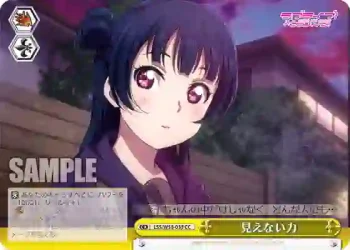 LSS/W53-033 CC 見えない力