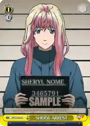 MF/S13-022 U SHERYL ARREST
