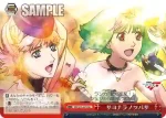 MF/S13-072 U バジュラとの共生へ