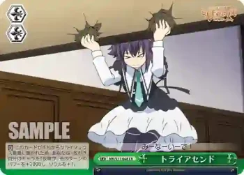 MK/S11-048 CR トライアセンド