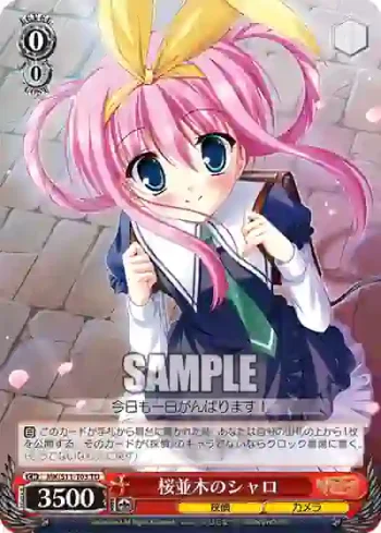 MK/S11-T03_ TD 桜並木のシャロ