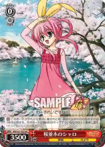 MK/S11-T03 TD 桜並木のシャロ