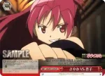 MM/W17-079 CR さやか VS 杏子