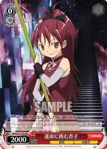 MM/W17-P05 PR 運命に挑む杏子