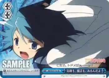 MM/W17-T14 TD 奇跡も、魔法も、あるんだよ