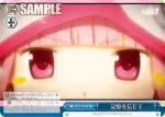 MR/W59-T19 TD 魔法少女たちの新たな物語
