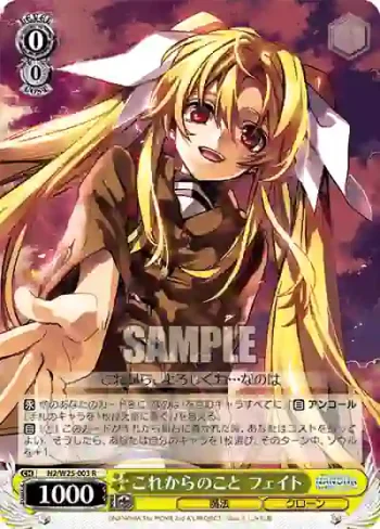 N2/W25-003 R これからのこと フェイト