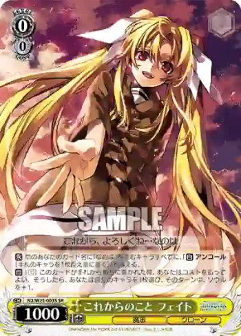 N2/W25-003S SR これからのこと フェイト