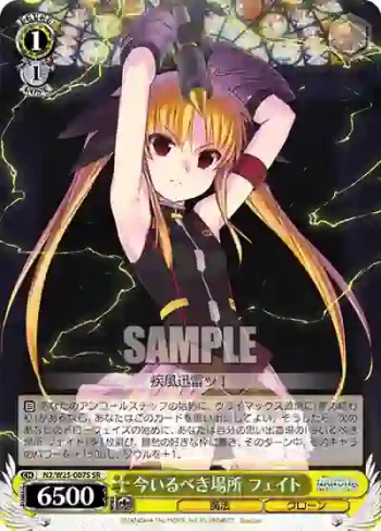 N2/W25-007S SR 今いるべき場所 フェイト