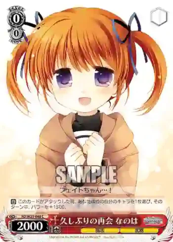 N2/W25-048 C 久しぶりの再会 なのは