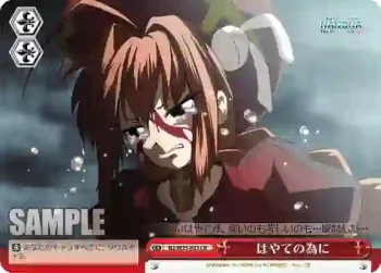 N2/W25-053 CR はやての為に