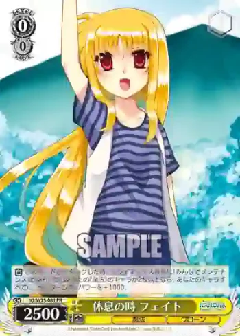 N2/W25-081 PR 休息の時 フェイト