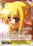 N2/W32-029 R これからのこと フェイト